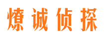 于洪侦探